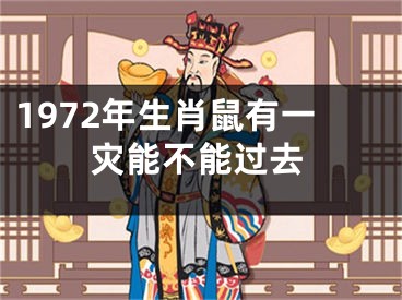 1972年生肖鼠有一灾能不能过去