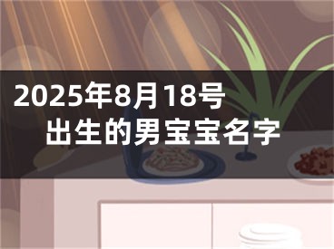 2025年8月18号出生的男宝宝名字
