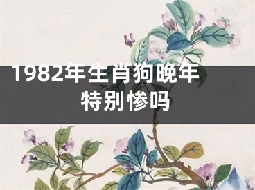 1982年生肖狗晚年特别惨吗
