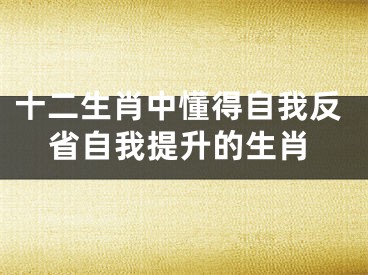 十二生肖中懂得自我反省自我提升的生肖