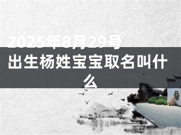 2025年8月29号出生杨姓宝宝取名叫什么