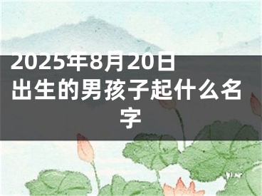 2025年8月20日出生的男孩子起什么名字