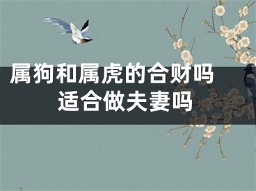 属狗和属虎的合财吗 适合做夫妻吗