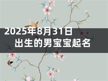 2025年8月31日出生的男宝宝起名