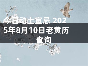 今日动土宜忌 2025年8月10日老黄历查询