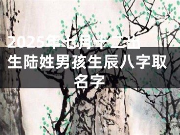 2025年七月十二出生陆姓男孩生辰八字取名字