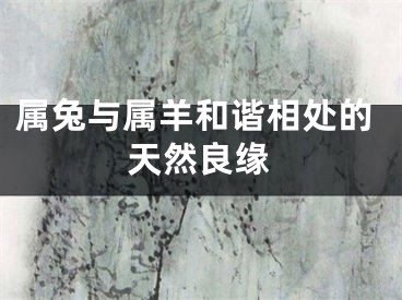 属兔与属羊和谐相处的天然良缘