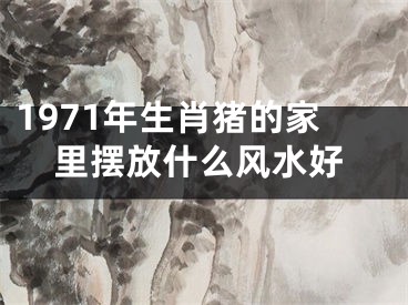 1971年生肖猪的家里摆放什么风水好