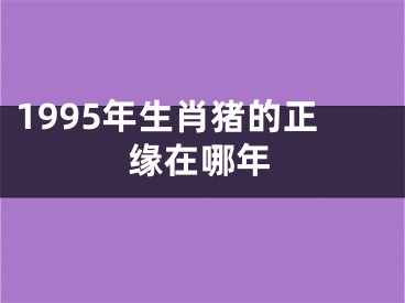 1995年生肖猪的正缘在哪年