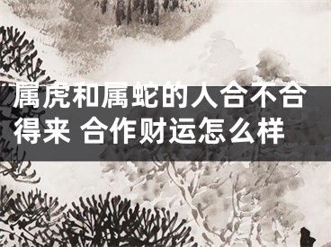 属虎和属蛇的人合不合得来 合作财运怎么样
