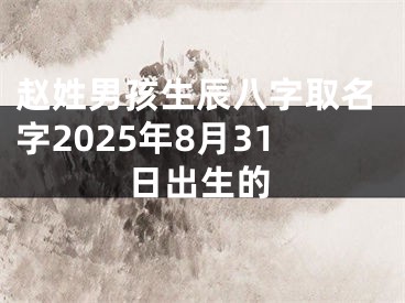 赵姓男孩生辰八字取名字2025年8月31日出生的
