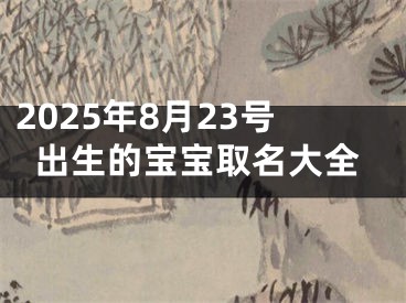 2025年8月23号出生的宝宝取名大全
