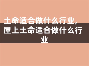 土命适合做什么行业,屋上土命适合做什么行业
