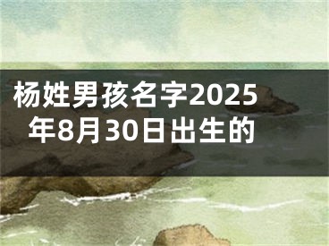 杨姓男孩名字2025年8月30日出生的