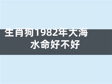 生肖狗1982年大海水命好不好