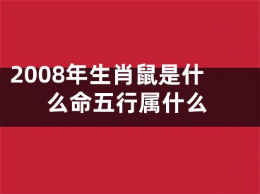 2008年生肖鼠是什么命五行属什么