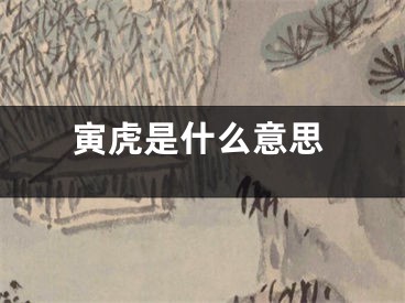 寅虎是什么意思