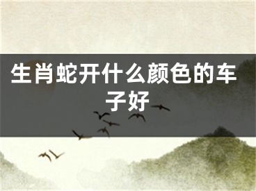 生肖蛇开什么颜色的车子好