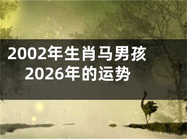 2002年生肖马男孩2026年的运势