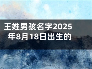 王姓男孩名字2025年8月18日出生的