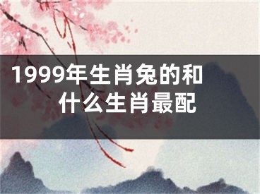 1999年生肖兔的和什么生肖最配