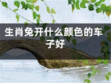 生肖兔开什么颜色的车子好