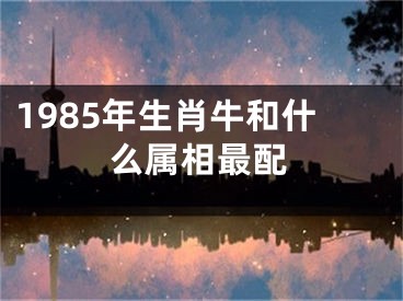 1985年生肖牛和什么属相最配