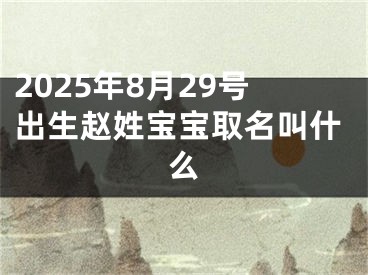 2025年8月29号出生赵姓宝宝取名叫什么