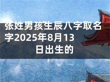 张姓男孩生辰八字取名字2025年8月13日出生的