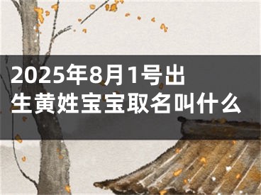 2025年8月1号出生黄姓宝宝取名叫什么