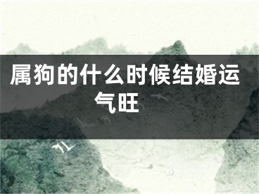 属狗的什么时候结婚运气旺 