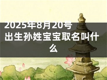 2025年8月20号出生孙姓宝宝取名叫什么