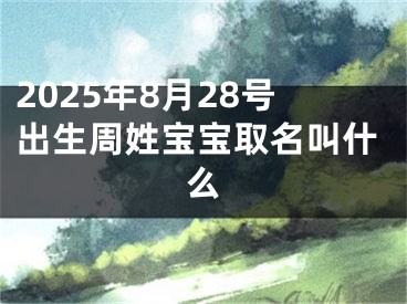 2025年8月28号出生周姓宝宝取名叫什么