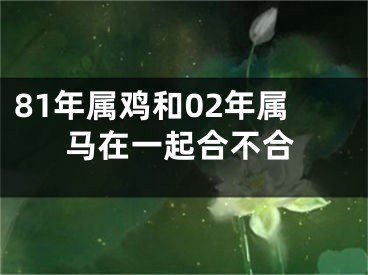 81年属鸡和02年属马在一起合不合