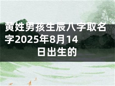 黄姓男孩生辰八字取名字2025年8月14日出生的