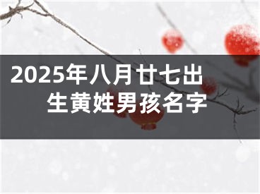 2025年八月廿七出生黄姓男孩名字