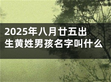 2025年八月廿五出生黄姓男孩名字叫什么