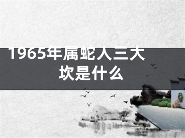 1965年属蛇人三大坎是什么