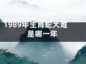 1989年生肖蛇大难是哪一年