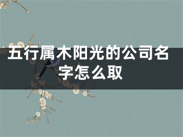 五行属木阳光的公司名字怎么取