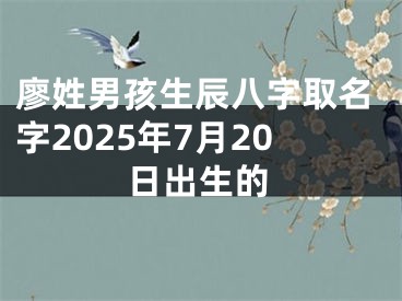 廖姓男孩生辰八字取名字2025年7月20日出生的