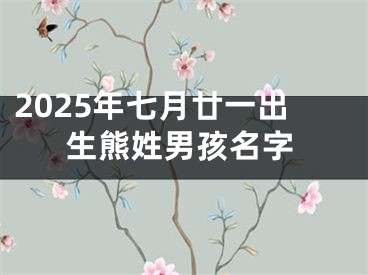 2025年七月廿一出生熊姓男孩名字