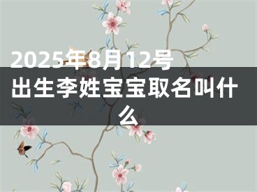 2025年8月12号出生李姓宝宝取名叫什么