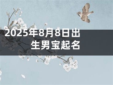 2025年8月8日出生男宝起名