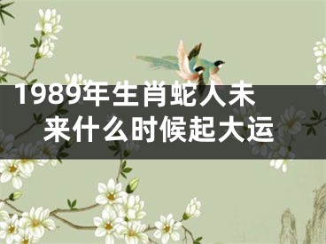 1989年生肖蛇人未来什么时候起大运