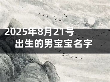2025年8月21号出生的男宝宝名字