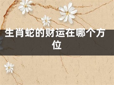 生肖蛇的财运在哪个方位