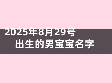 2025年8月29号出生的男宝宝名字