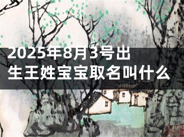 2025年8月3号出生王姓宝宝取名叫什么