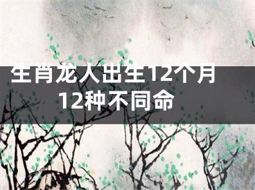生肖龙人出生12个月12种不同命